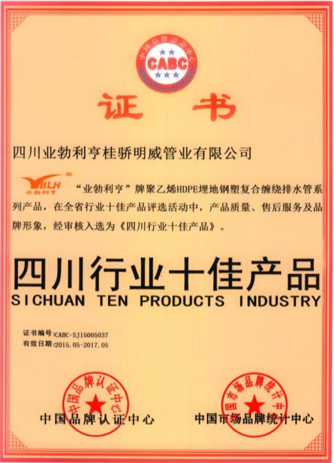 四川行业十佳产品